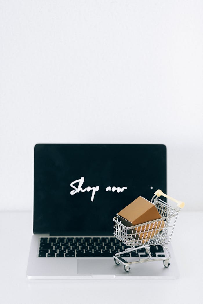 services-03 A laptop screen displaying 'Shop now' with a miniature shopping cart and cardboard box.